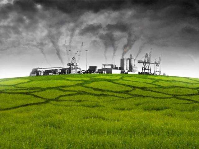 1558449024599184.jpg timg (3).jpg